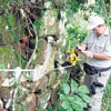 Encontradas ruinas de ciudad española del siglo XVI en República Dominicana