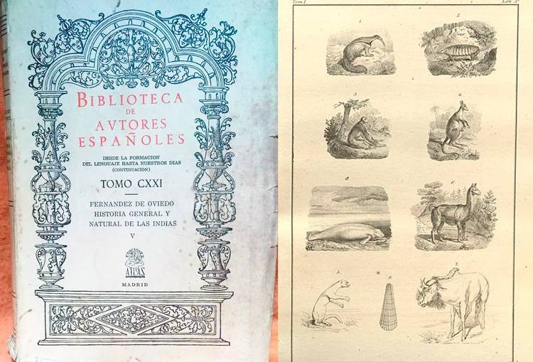 Historia general y natural de las Indias, Gonzalo Fernández de Oviedo y Valdés