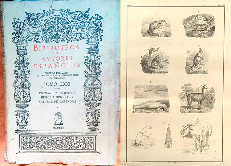 Historia general y natural de las Indias, Gonzalo Fernández de Oviedo y Valdés